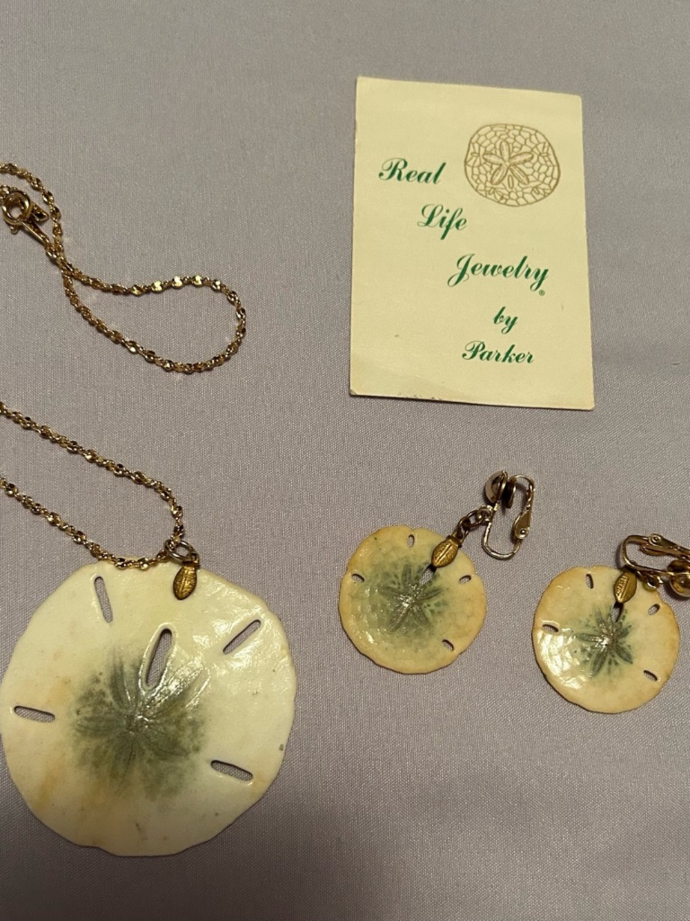 Authentic Sand Dollar Necklace & Earrings Set